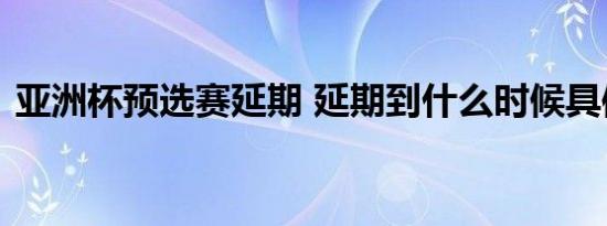 亚洲杯预选赛延期 延期到什么时候具体情况