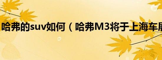 哈弗的suv如何（哈弗M3将于上海车展上市）