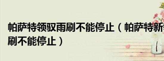 帕萨特领驭雨刷不能停止（帕萨特新领驭的雨刷不能停止）
