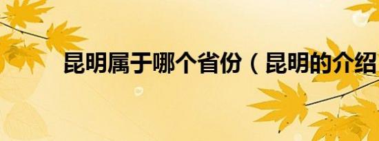 昆明属于哪个省份（昆明的介绍）
