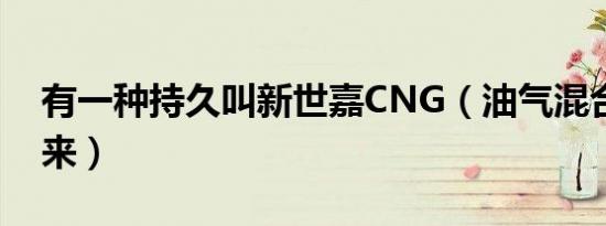 有一种持久叫新世嘉CNG（油气混合停不下来）