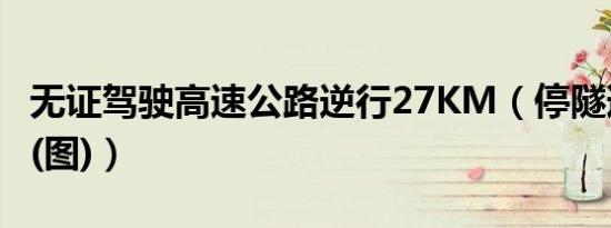 无证驾驶高速公路逆行27KM（停隧道口睡觉(图)）
