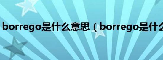 borrego是什么意思（borrego是什么车型）