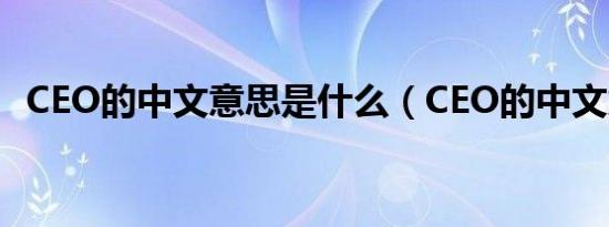 CEO的中文意思是什么（CEO的中文意思）