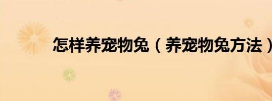 怎样养宠物兔（养宠物兔方法）