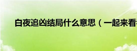 白夜追凶结局什么意思（一起来看看）