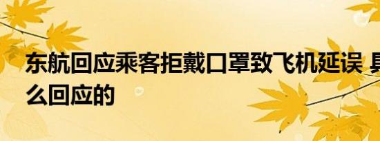 东航回应乘客拒戴口罩致飞机延误 具体是怎么回应的