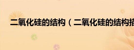 二氧化硅的结构（二氧化硅的结构描述）