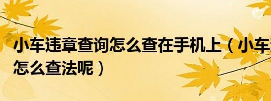 小车违章查询怎么查在手机上（小车违章查询怎么查法呢）