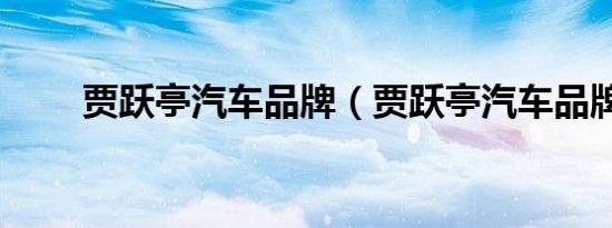 贾跃亭汽车品牌（贾跃亭汽车品牌）