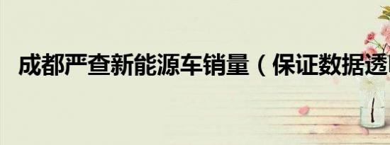 成都严查新能源车销量（保证数据透明化）