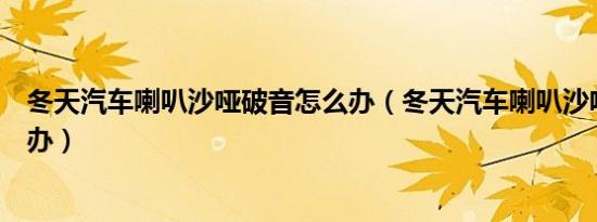 冬天汽车喇叭沙哑破音怎么办（冬天汽车喇叭沙哑破音怎么办）