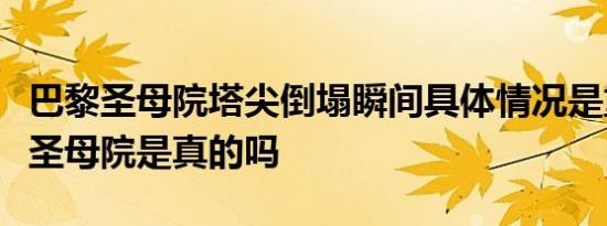 巴黎圣母院塔尖倒塌瞬间具体情况是重建巴黎圣母院是真的吗