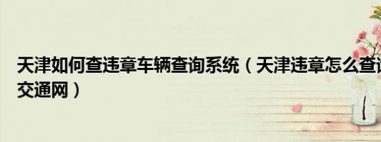 天津如何查违章车辆查询系统（天津违章怎么查询天津智能交通网）