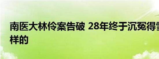 南医大林伶案告破 28年终于沉冤得雪具体怎样的