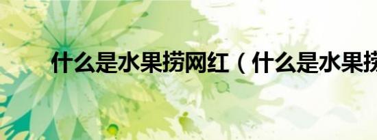 什么是水果捞网红（什么是水果捞）
