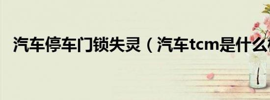 汽车停车门锁失灵（汽车tcm是什么模块）