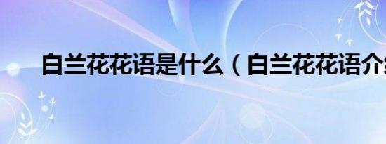 白兰花花语是什么（白兰花花语介绍）