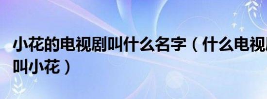 小花的电视剧叫什么名字（什么电视剧主人公叫小花）