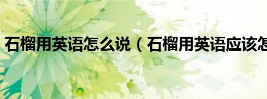 石榴用英语怎么说（石榴用英语应该怎么说）