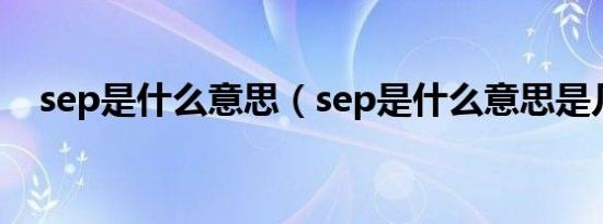 sep是什么意思（sep是什么意思是几月）