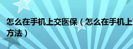 怎么在手机上交医保（怎么在手机上交医保的方法）