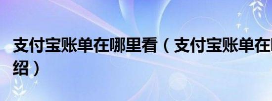 支付宝账单在哪里看（支付宝账单在哪里看介绍）