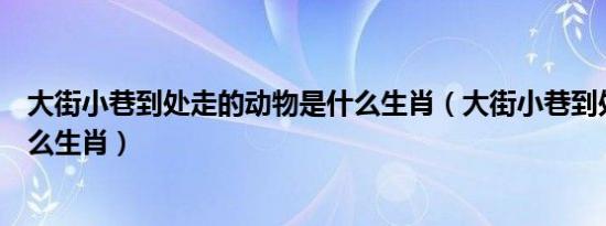 大街小巷到处走的动物是什么生肖（大街小巷到处跑的是什么生肖）