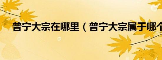 普宁大宗在哪里（普宁大宗属于哪个市）