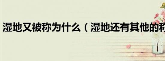 湿地又被称为什么（湿地还有其他的称呼吗）