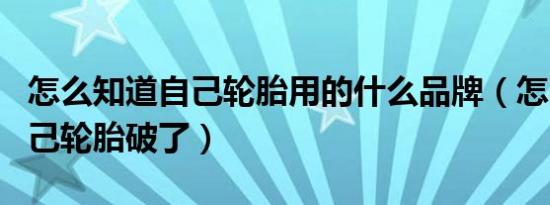 怎么知道自己轮胎用的什么品牌（怎么知道自己轮胎破了）