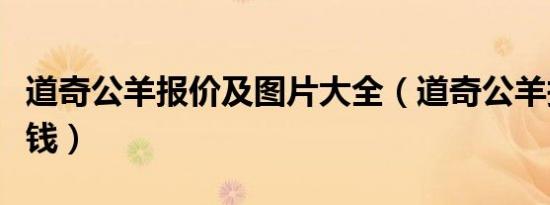 道奇公羊报价及图片大全（道奇公羊报价多少钱）