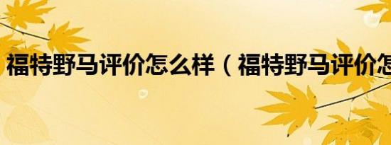 福特野马评价怎么样（福特野马评价怎么样）