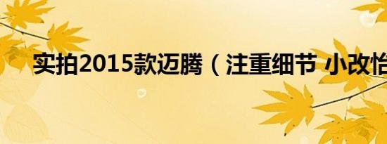 实拍2015款迈腾（注重细节 小改怡情）