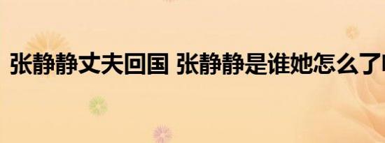 张静静丈夫回国 张静静是谁她怎么了啥情况