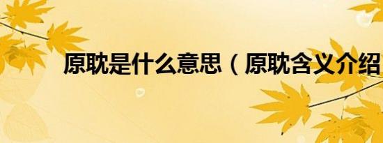 原耽是什么意思（原耽含义介绍）