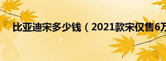 比亚迪宋多少钱（2021款宋仅售6万元）