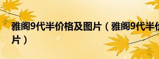雅阁9代半价格及图片（雅阁9代半价格及图片）