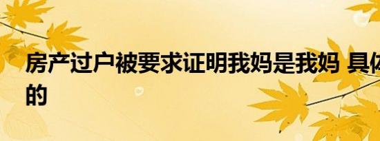 房产过户被要求证明我妈是我妈 具体是怎样的