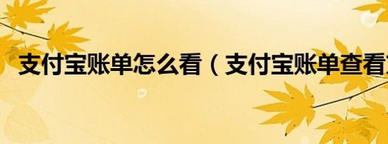 支付宝账单怎么看（支付宝账单查看方法）