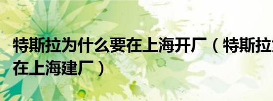 特斯拉为什么要在上海开厂（特斯拉为什么要在上海建厂）