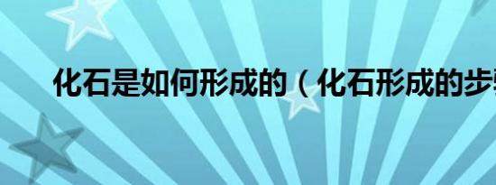 化石是如何形成的（化石形成的步骤）