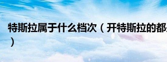特斯拉属于什么档次（开特斯拉的都是什么人）