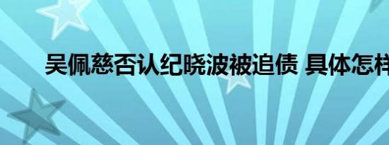 吴佩慈否认纪晓波被追债 具体怎样的