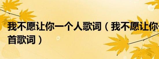 我不愿让你一个人歌词（我不愿让你一个人整首歌词）