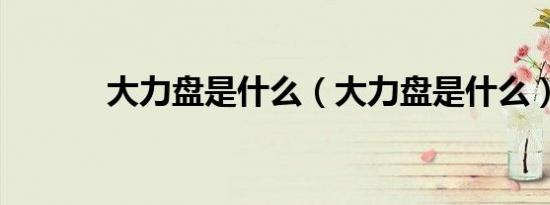 大力盘是什么（大力盘是什么）