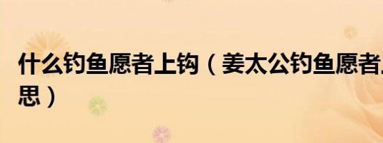 什么钓鱼愿者上钩（姜太公钓鱼愿者上钩的意思）