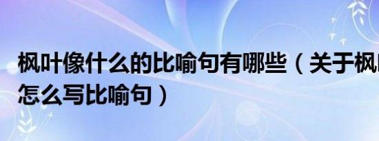 枫叶像什么的比喻句有哪些（关于枫叶像什么怎么写比喻句）