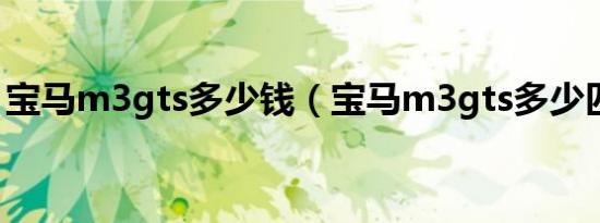 宝马m3gts多少钱（宝马m3gts多少匹马力）