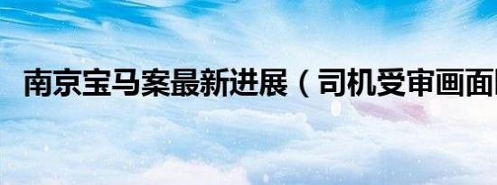 南京宝马案最新进展（司机受审画面曝光）